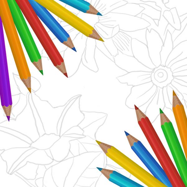 Image for event: Creative Colored Pencil!