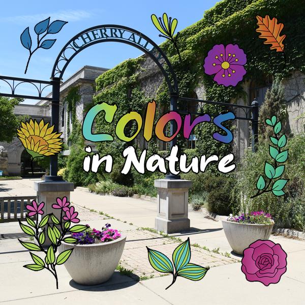 Image for event: Colors in Nature