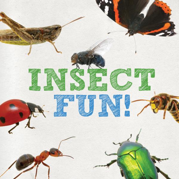 Image for event: Insect Fun!
