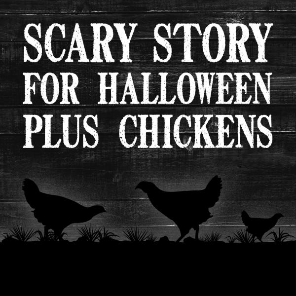 Image for event: Scary Story for Halloween plus chickens