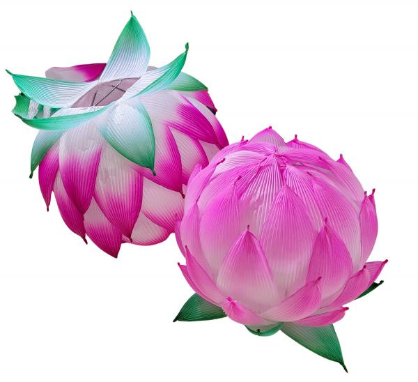 Image for event: Lotus Flower Lantern Craft