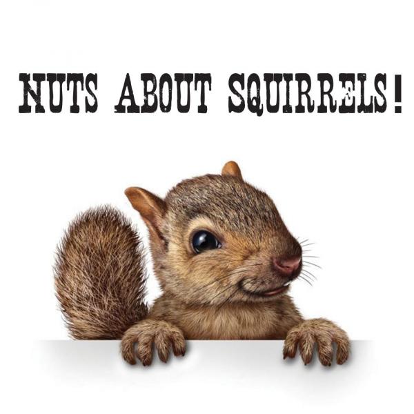 Image for event: Squirrel BINGO Cards due!